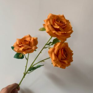 8-22
